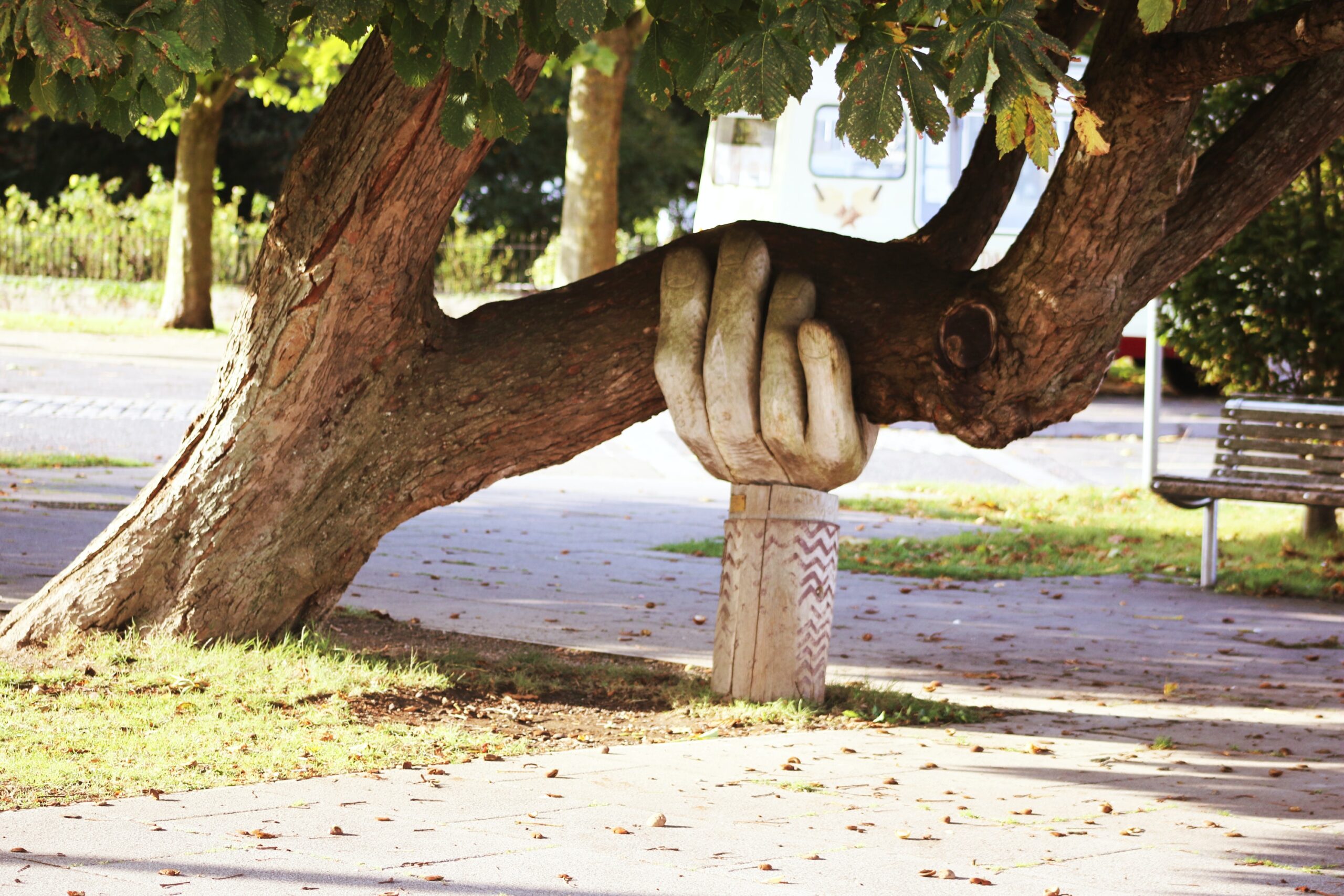 A stone hand holding up a tree branch