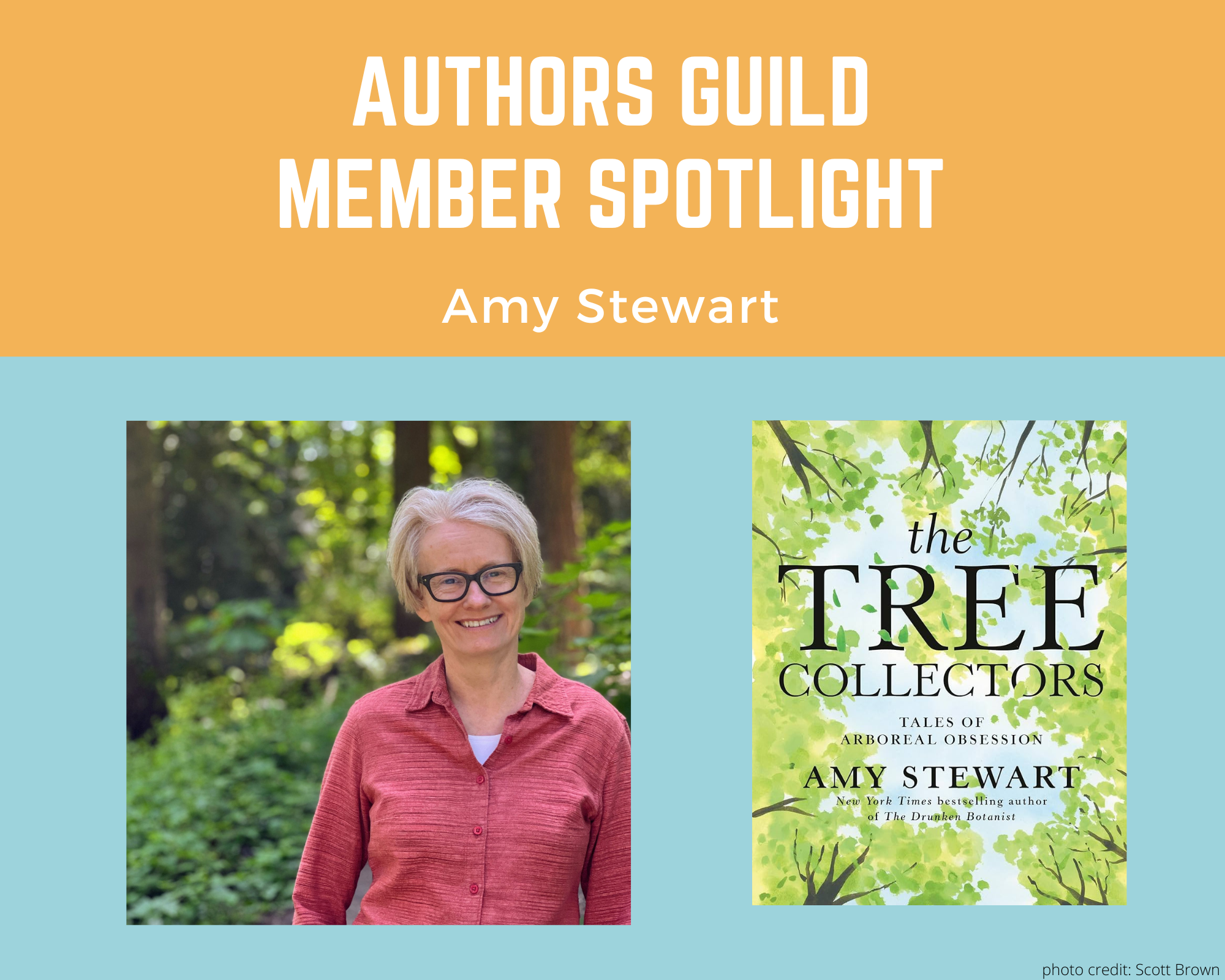 author Amy Stewart and her book The Tree Collectors